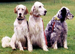 Beau with his father, Sunny, and Lucy