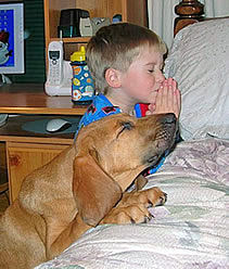 A boy and his best friend, his dog, praying