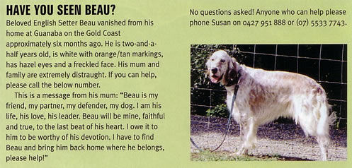 Dogs Life, National dog magazine, Finding Beau, Stolen Dog