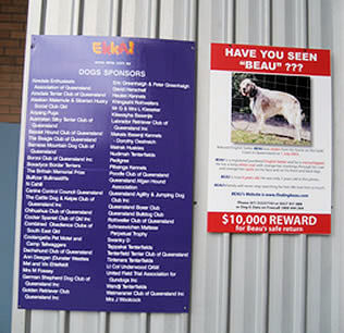 Finding Beau, stolen dog poster, Brisbane Ekka, Royal National Dog Show, Dog Pavilion