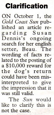 Gold Coast Sun, Finding Beau, missing pet, stolen dog, English Setter