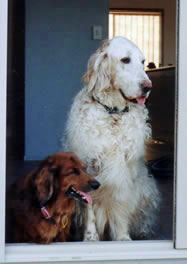 Jessie with her beloved friend, Benmore