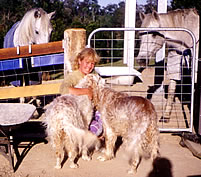 Jessie, Bandit, Misty Blue, Sparkie and their mum