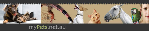 Mypets, complete online guide to pets in Australia, with pet and breed information, breeder directory, pet products marketplace and international resources section