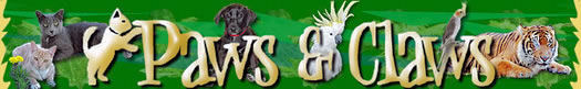 Paws & Claws, Pet and Wildlife Gold Coast Journal