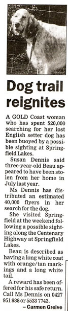 The Queensland Times, Ipswich, Finding Beau, Stolen Dog