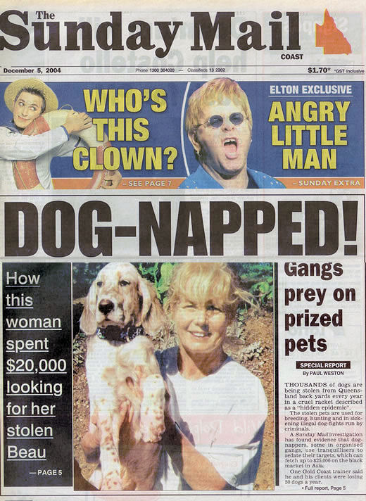 The Sunday Mail, Queensland, front page feature, Dog-napped, Finding Beau, Stolen Dog