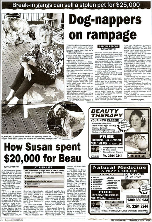 The Sunday Mail, Queensland, Dog-napped, Finding Beau, Stolen Dog