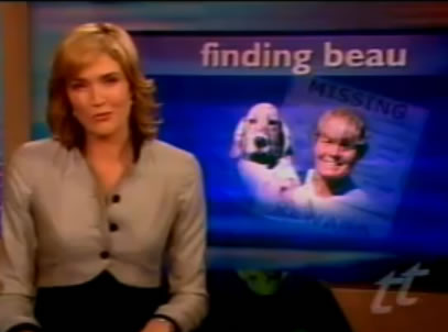 today tonight channel 7 national television, finding beau, stolen dog, english setter
