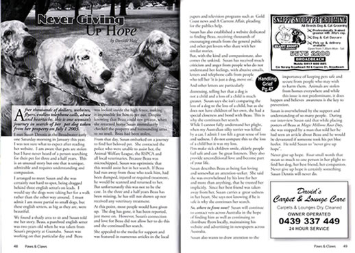 Paws & Claws Pet and Wildlife Journal, Gold Coast, Finding Beau, Stolen Dog, Never giving up hope